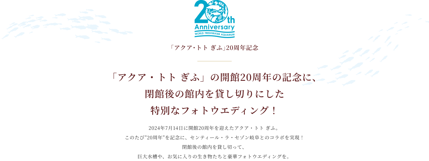 「アクア・トト ぎふ」の開館20周年の記念に、閉館後の館内を貸し切りにした特別なフォトウエディング！ 2024年7月14日に開館20周年を迎えたアクア・トト ぎふ。このたび”20周年”を記念に、センティール・ラ・セゾン岐阜とのコラボが実現！閉館後の館内を貸し切って、巨大水槽や、お気に入りの生き物たちと豪華フォトウエディングを。